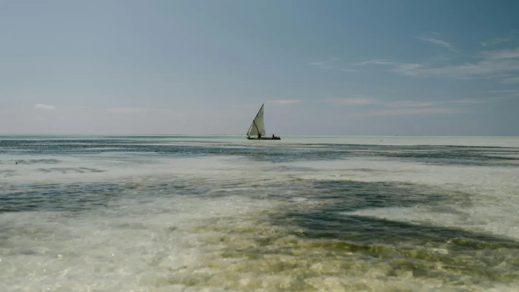 visuel principal sur Ocean indien premier voyage