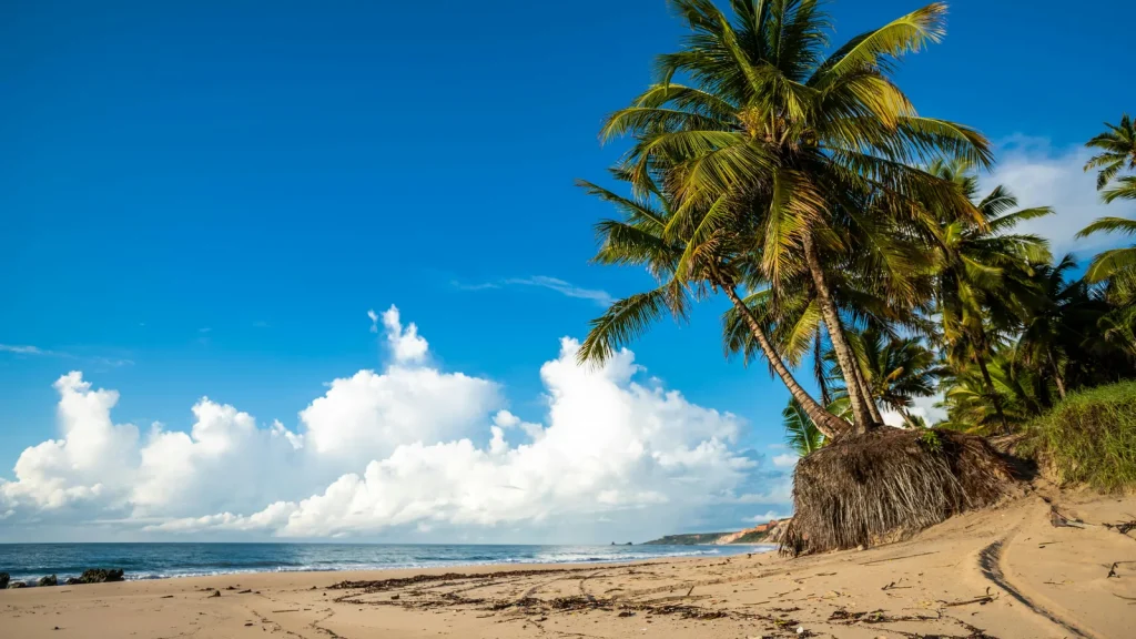 visuel principal sur Voyage tropical budget
