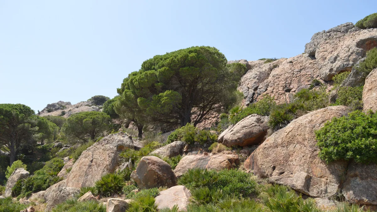 visuel secondaire sur Road trip dans le sud de la Sardaigne