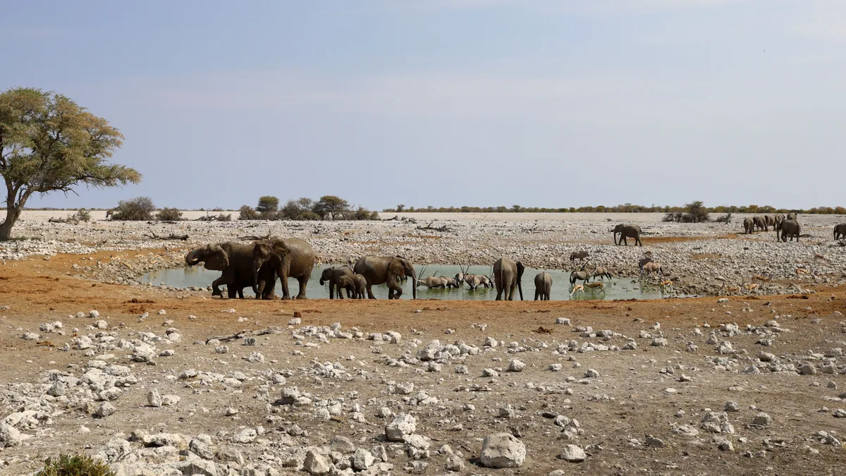visuel secondaire sur Road trip en Namibie