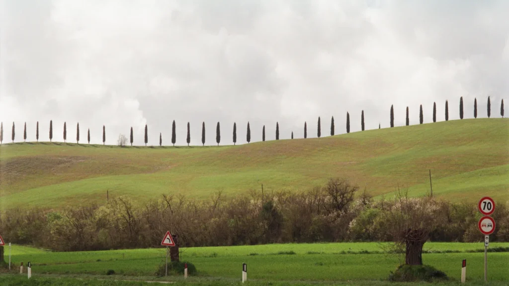 visuel principal sur Road trip en Toscane : itinéraire et conseils